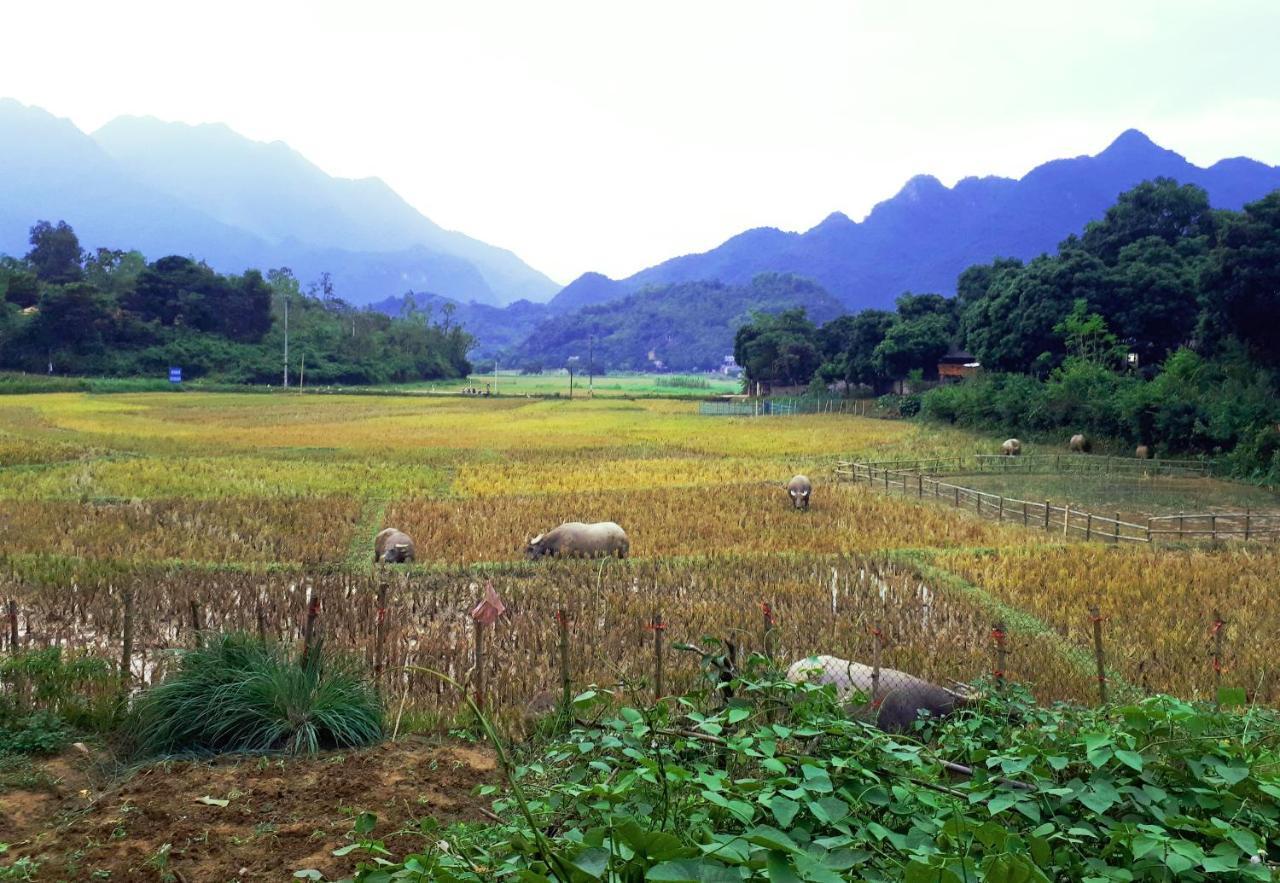 Meadow Mai Chau Homestay Exterior foto