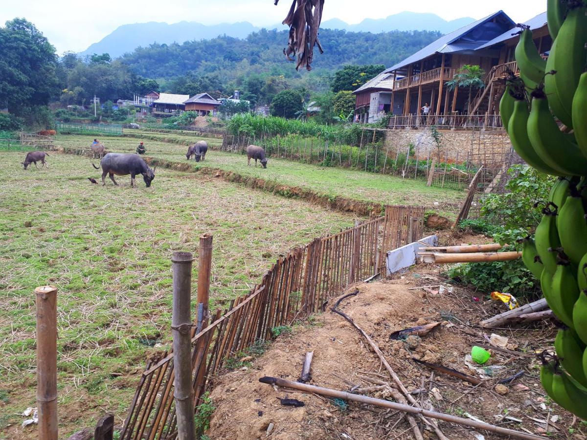 Meadow Mai Chau Homestay Exterior foto